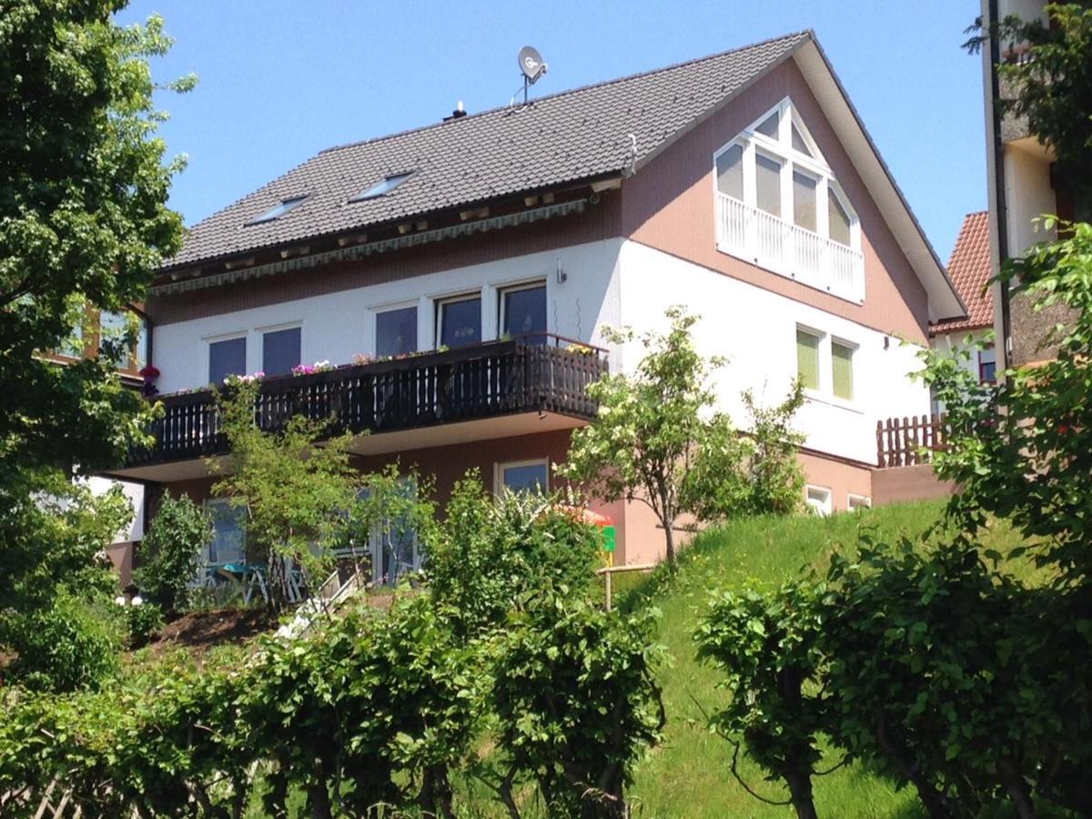 Haus Talblick Apartment Freudenstadt Exterior foto